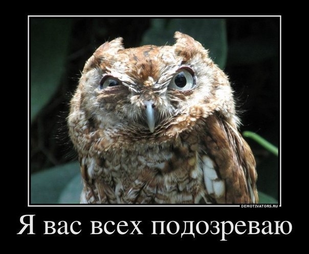 Руслан Микаэлян | Москва