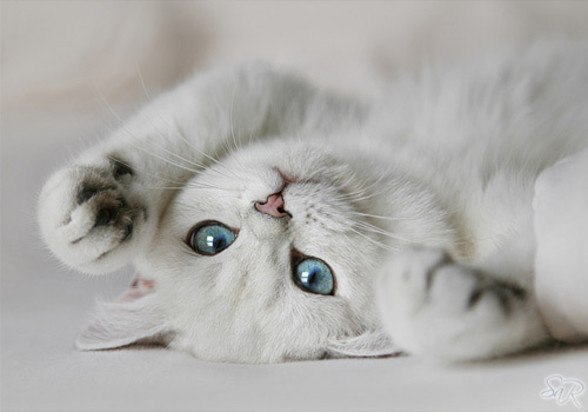 №139, Леся Коцкович-Гузовата, 37 лет, Долина №139, Леся Коцкович-Гузовата, 37 лет, Долина