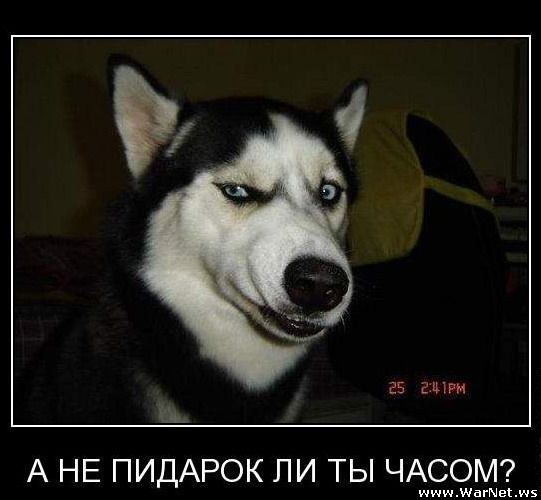 №56, Ранэль Гимадеев, Казань, Россия №56, Ранэль Гимадеев, Казань, Россия