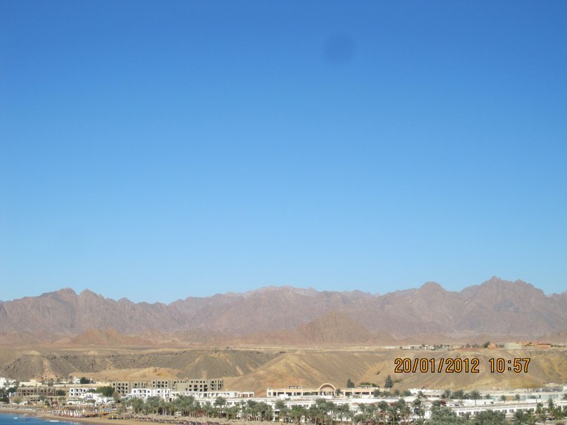 Жанна Левина | Щелково