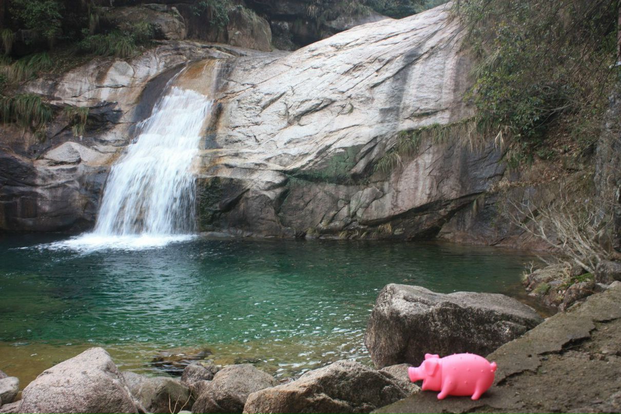 Дмитрий Суслов ☂ | Москва