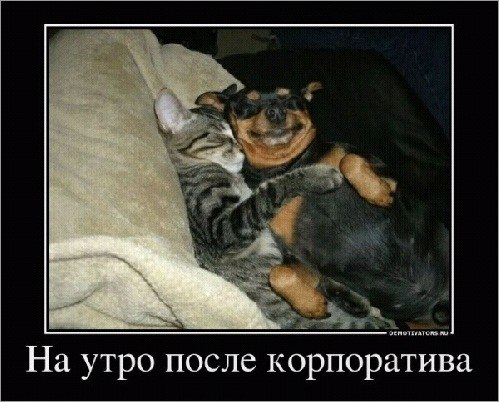 Lidok Saharok | Москва