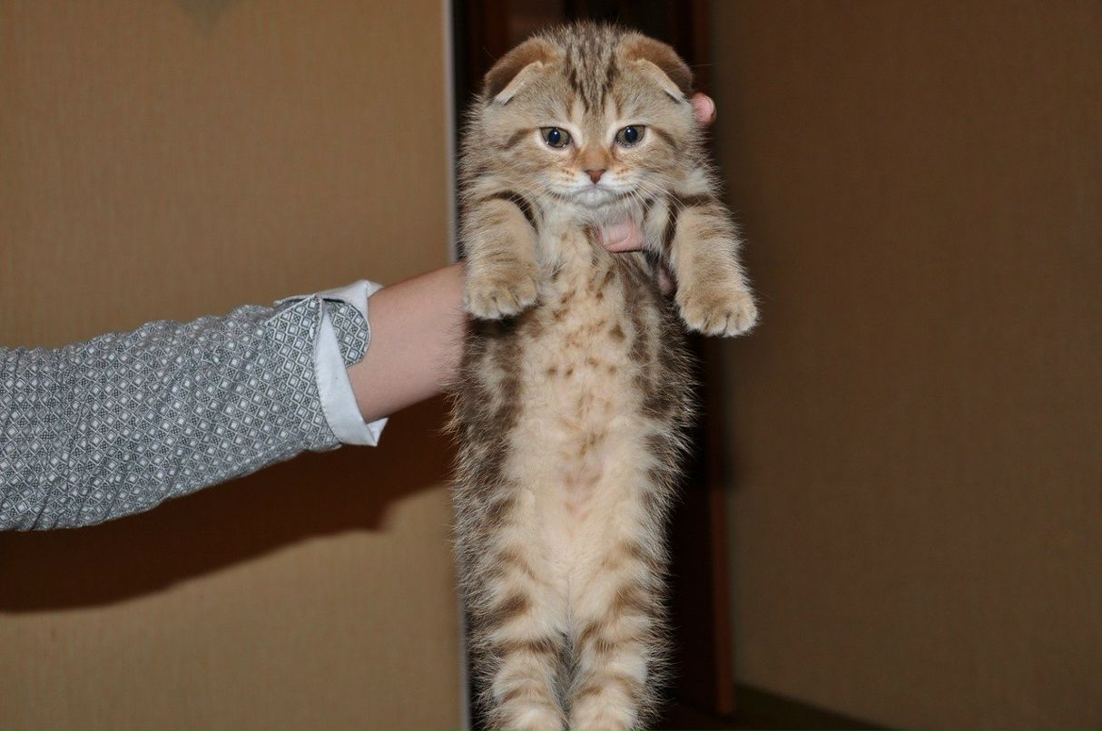 Аня Жукова | Барнаул