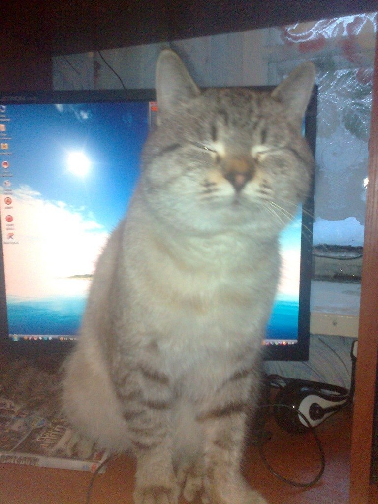 Артур Тумаков | Львов