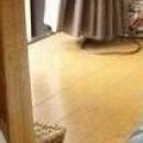 №73, Евгения Веденеева №73, Евгения Веденеева