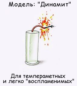 Павел Анисимов | 