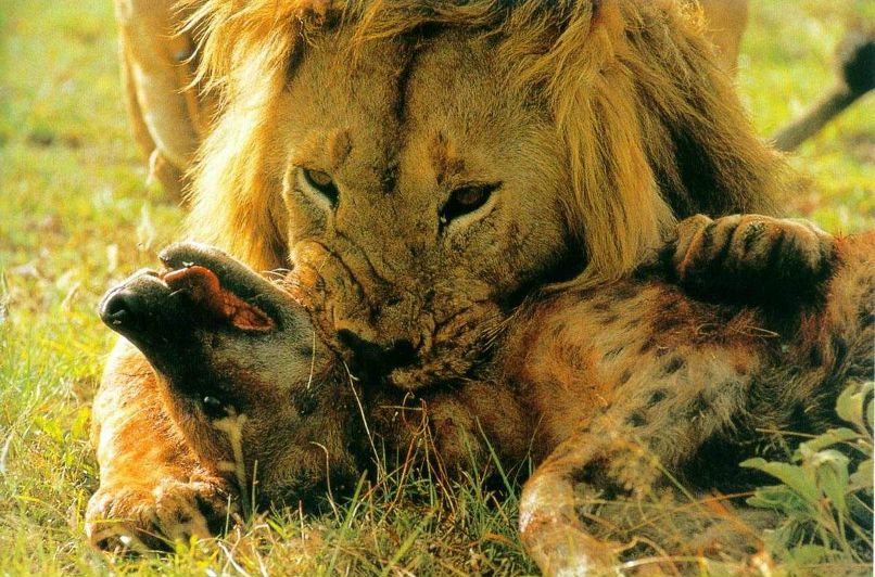 Андрей Петров | Великие Луки