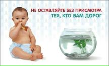 Фотография Диана Литвинова