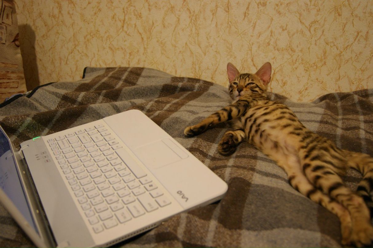 Андрей Матлах | Хурба