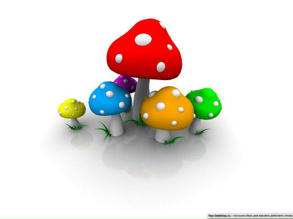 №85, Надежда Волкова, Самара №85, Надежда Волкова, Самара