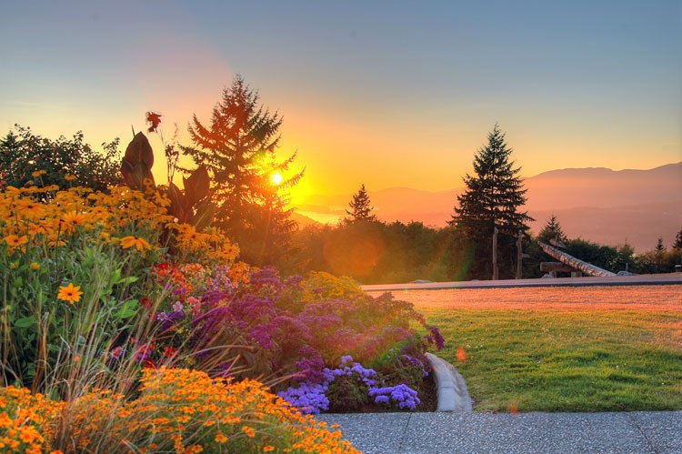 Елена Куликова | 