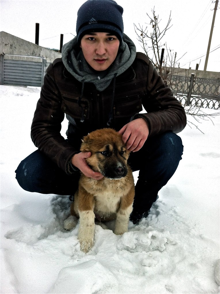 Kamal Ismuratov | Shanghai