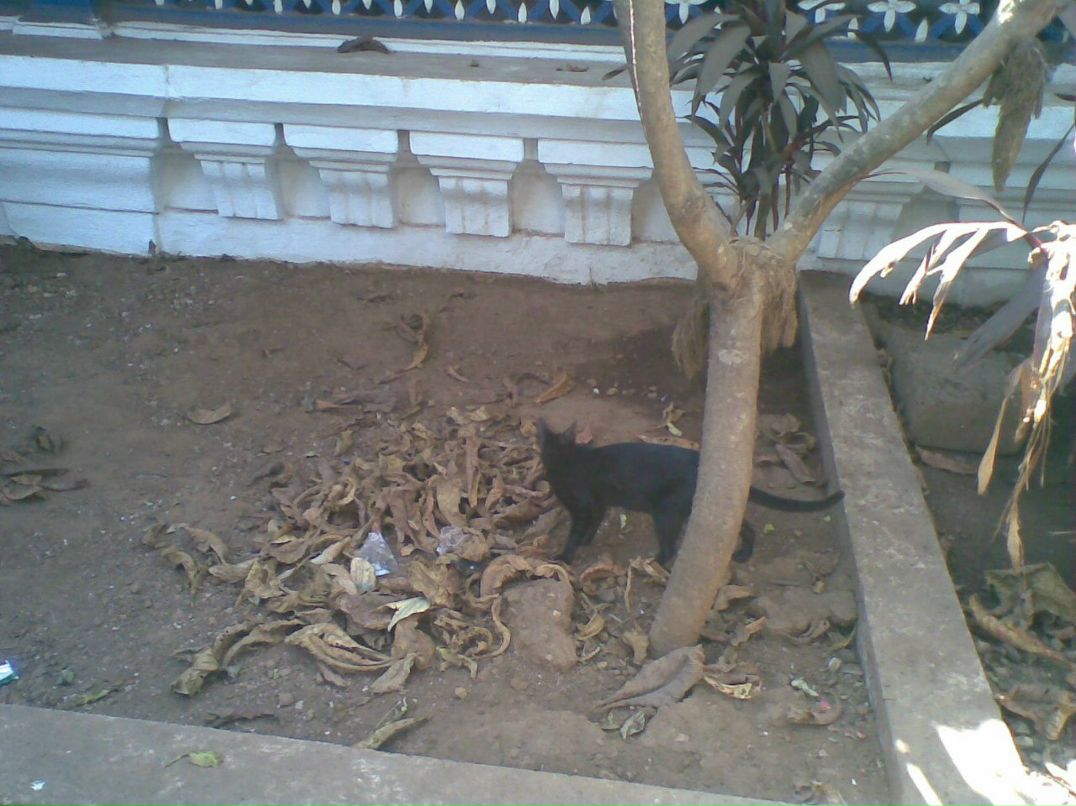 Александра Сашнева | Москва