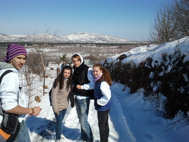 Полина Шарова | Nahalal