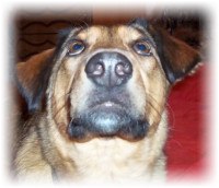 Камилла Домнина | Ульяновск