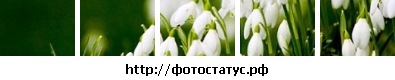 №29, Віта Наконечна №29, Віта Наконечна