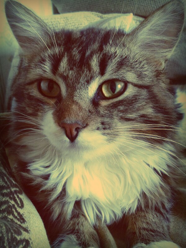 Надежда Проклова alenorr | Москва