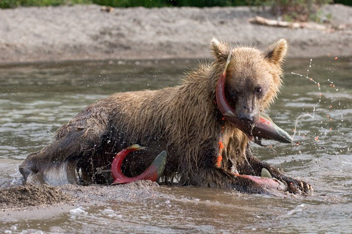 Екатерина Чернышова | Москва