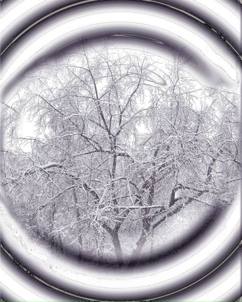 №45, Елена Георгиевская, Москва №45, Елена Георгиевская, Москва