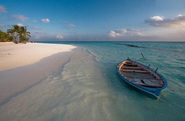 Петяныч Котов | Москва