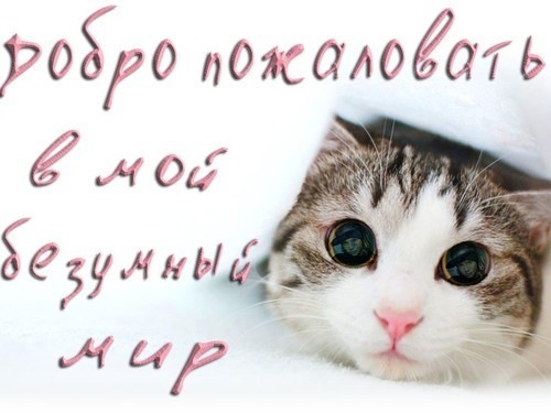 №42, Юлия Макарина, Саратов №42, Юлия Макарина, Саратов