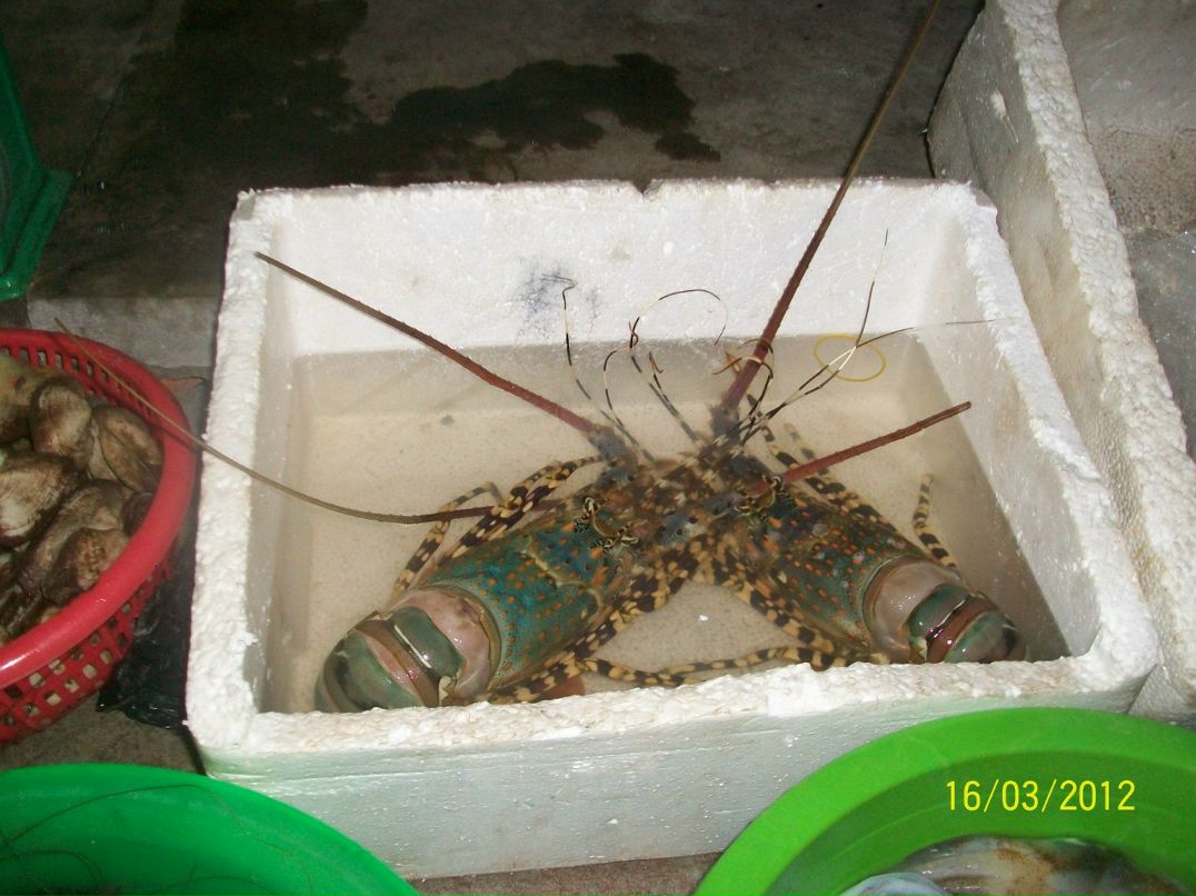 Галина Петрова | Красноармейск