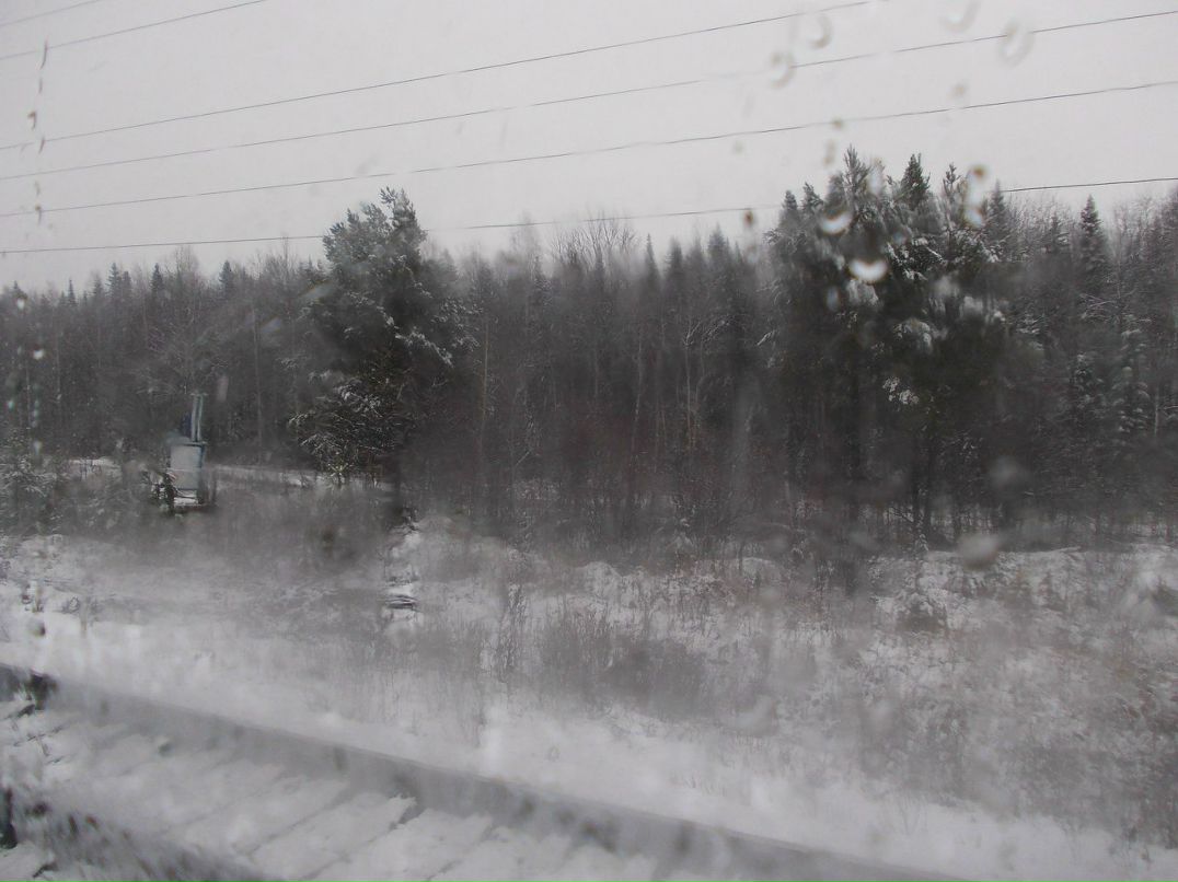 Тимофей Румянцев 