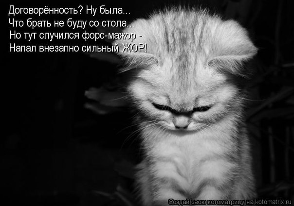 №15, Даша-Даськин Мархель №15, Даша-Даськин Мархель