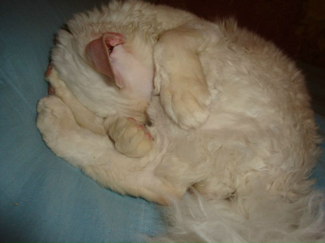 Миня Михалыч | Екатеринбург