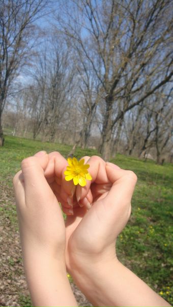 №23, Анна Ролик №23, Анна Ролик