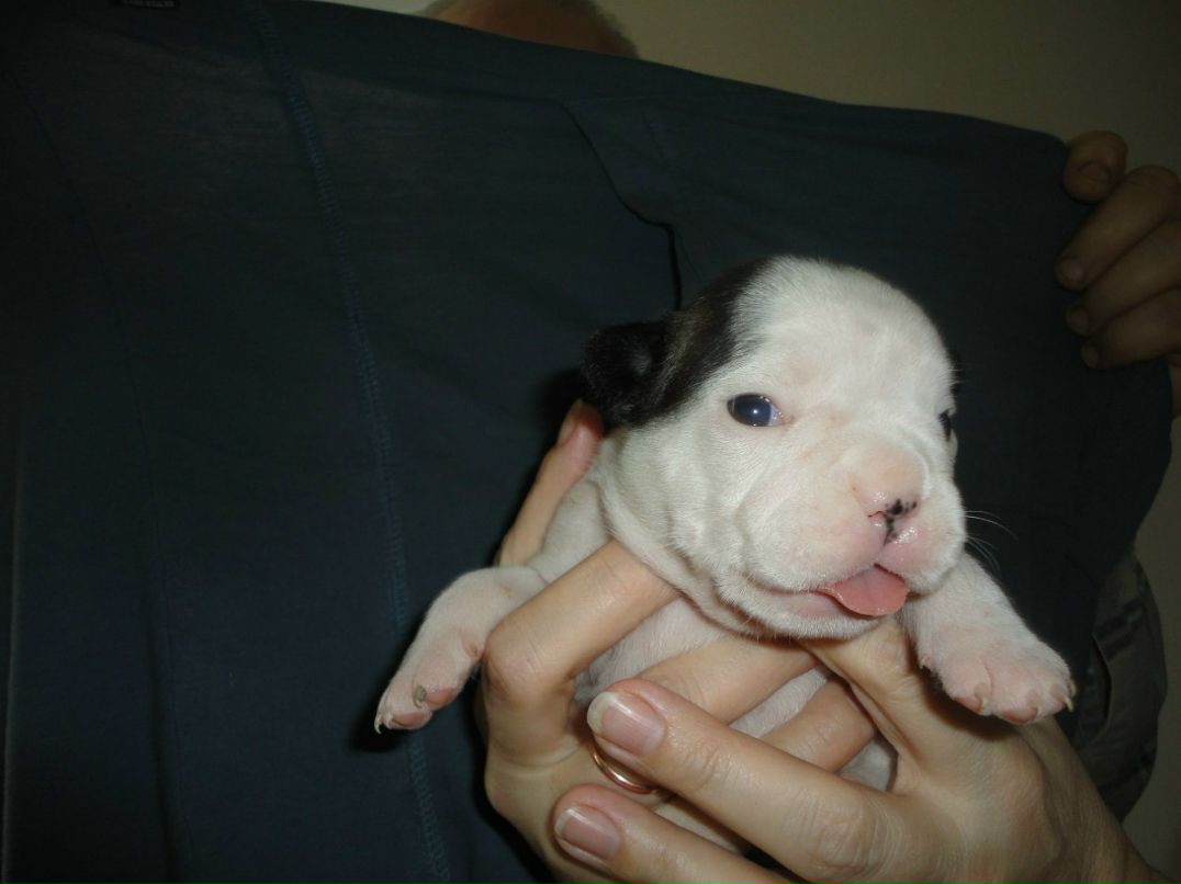 Александр Цап | Харьков