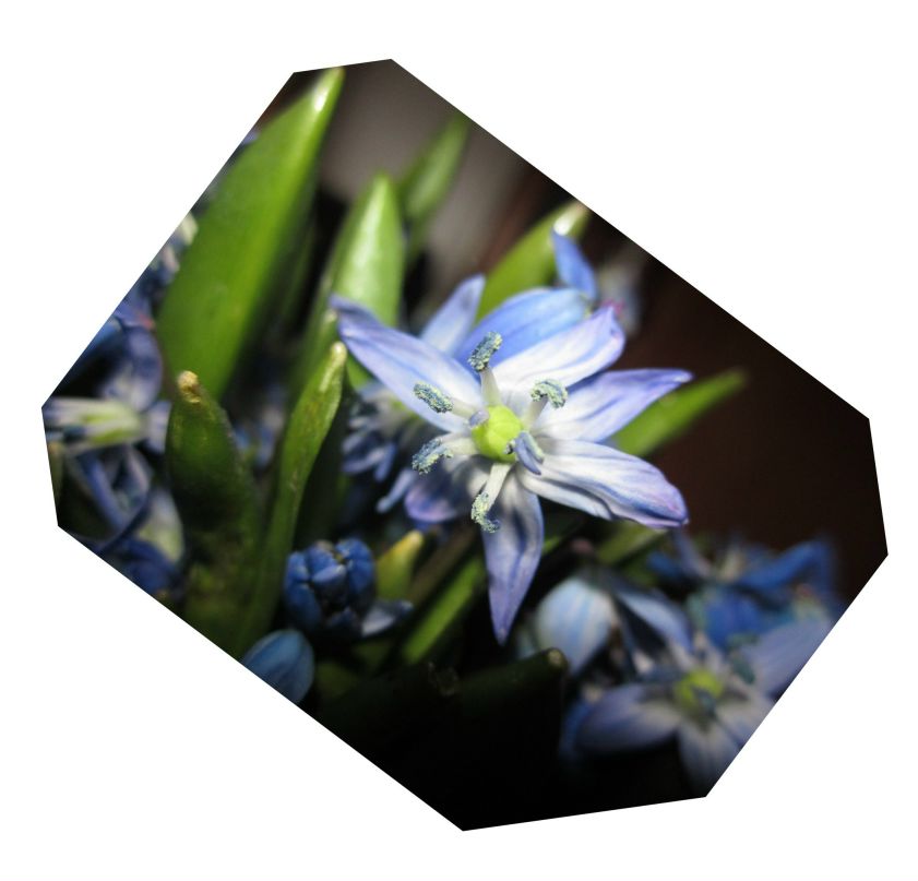 Наташа Лунева | Тамбов