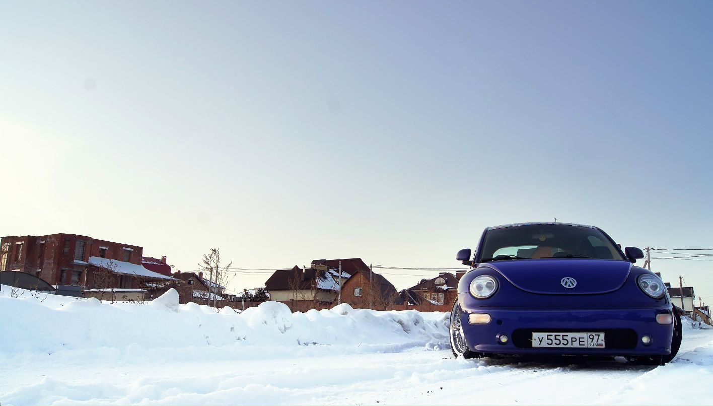 Тигра Гаспарян | Москва