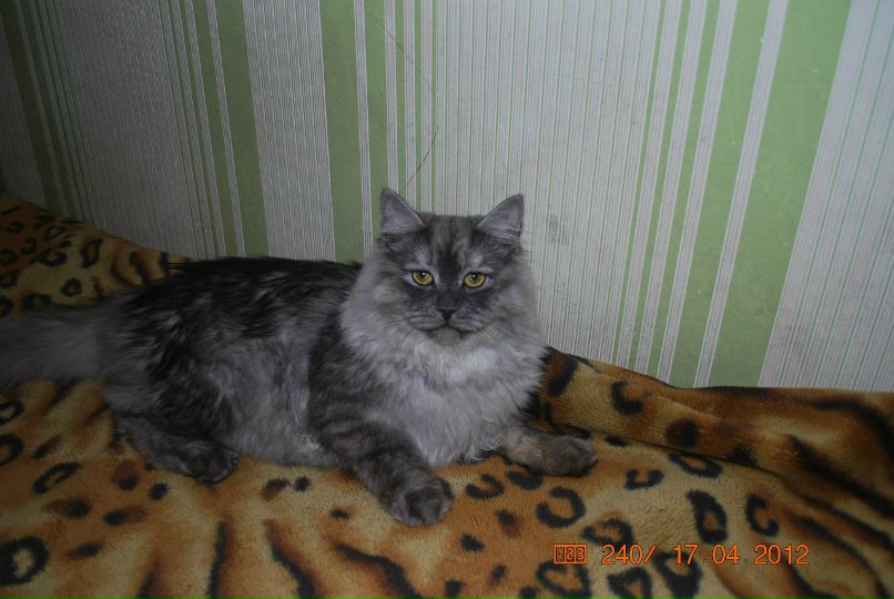 Анастасия Федулова | Саратов