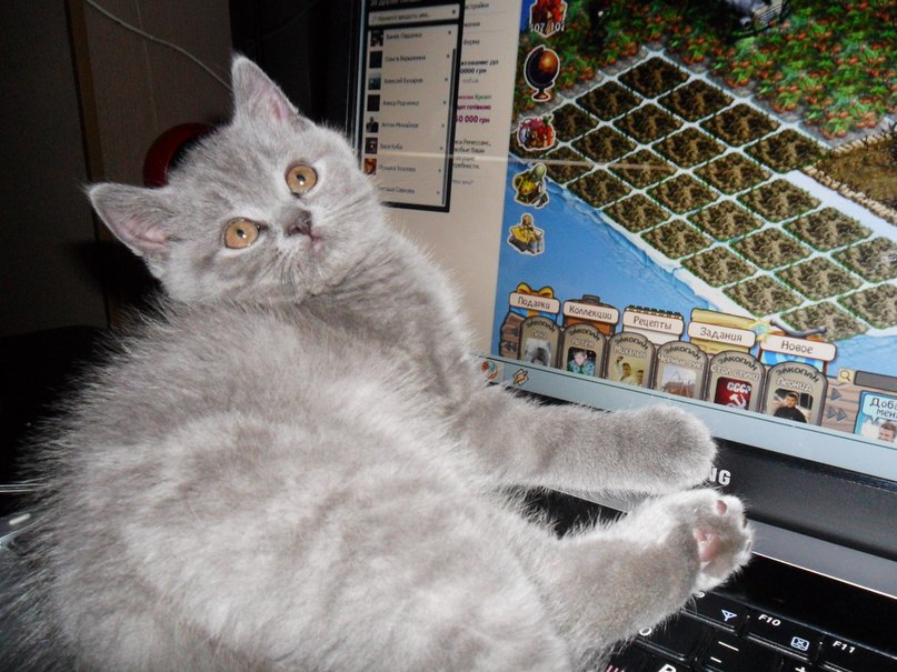 Лариса Потапова | Горишние Плавни / Комсомольск