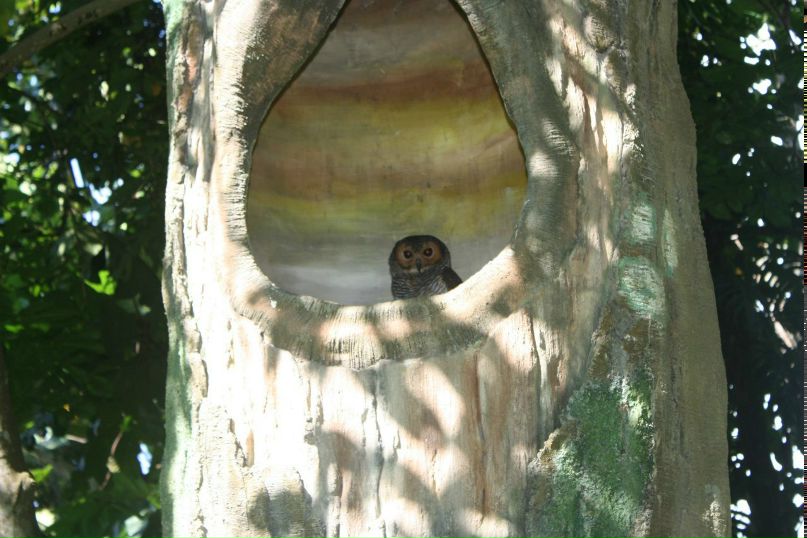 Вадим Лепешкин | Москва