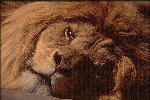 Ольга Мут | Limburg an der Lahn