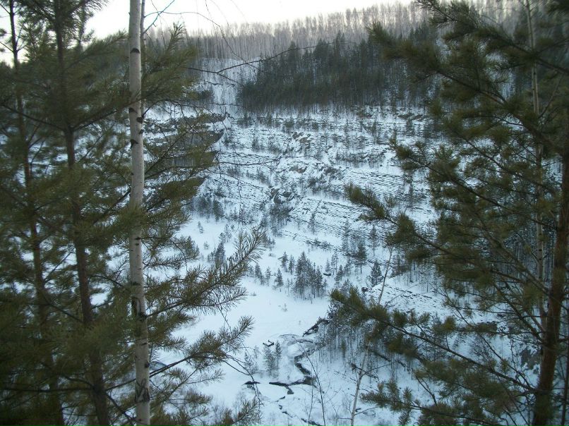 Даниил Горбунов | Екатеринбург