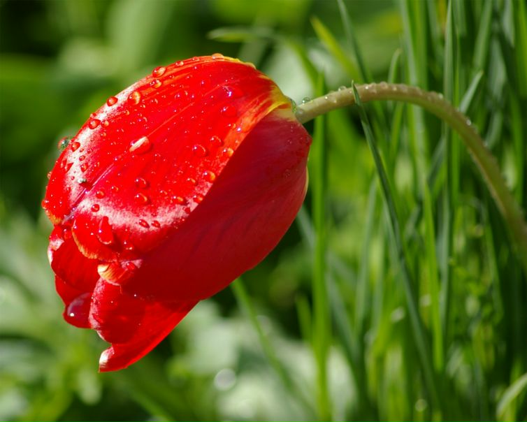 №24, Игорь Лазарев, Санкт-Петербург, Россия №24, Игорь Лазарев, Санкт-Петербург, Россия