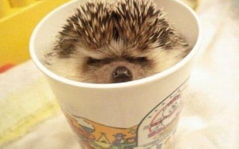 Никита Хлебников | Санкт-Петербург