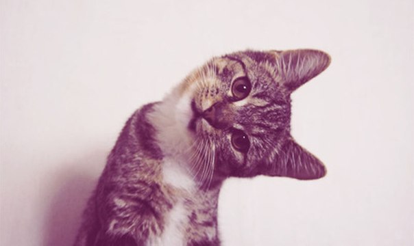 Юра Ходаковский woohoo | Киев