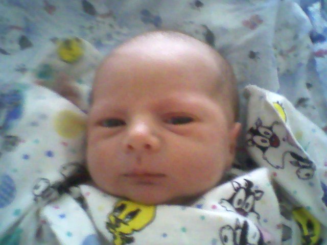 Таня Серова | Васильков