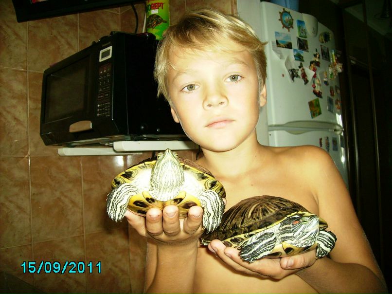 Елена Колесник | Киев