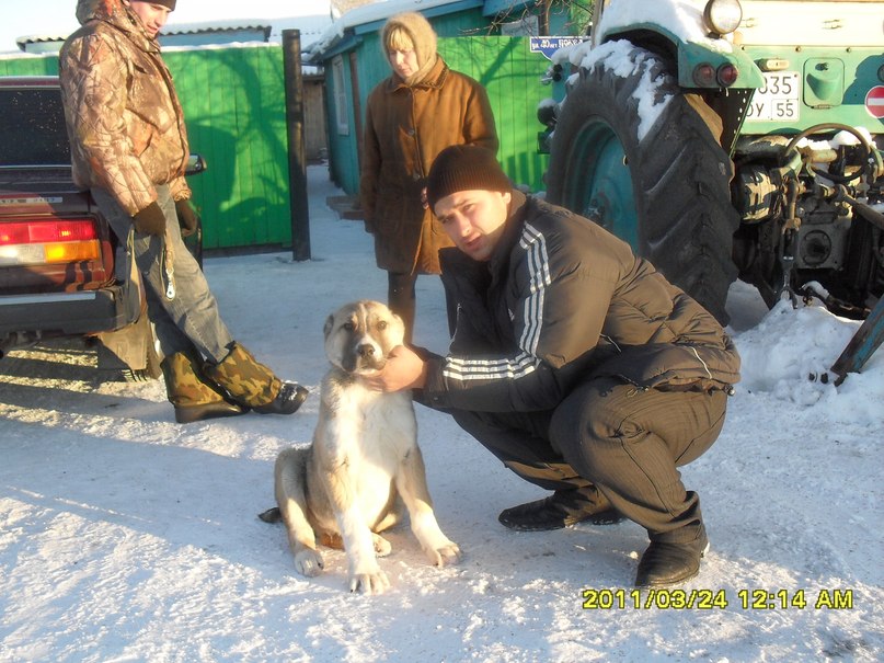 Дмитрий Меньшиков | Омск