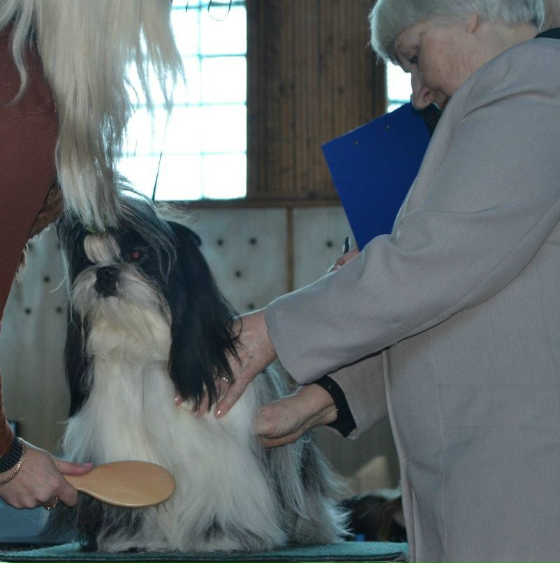 Оля Фартушна | Кривой Рог