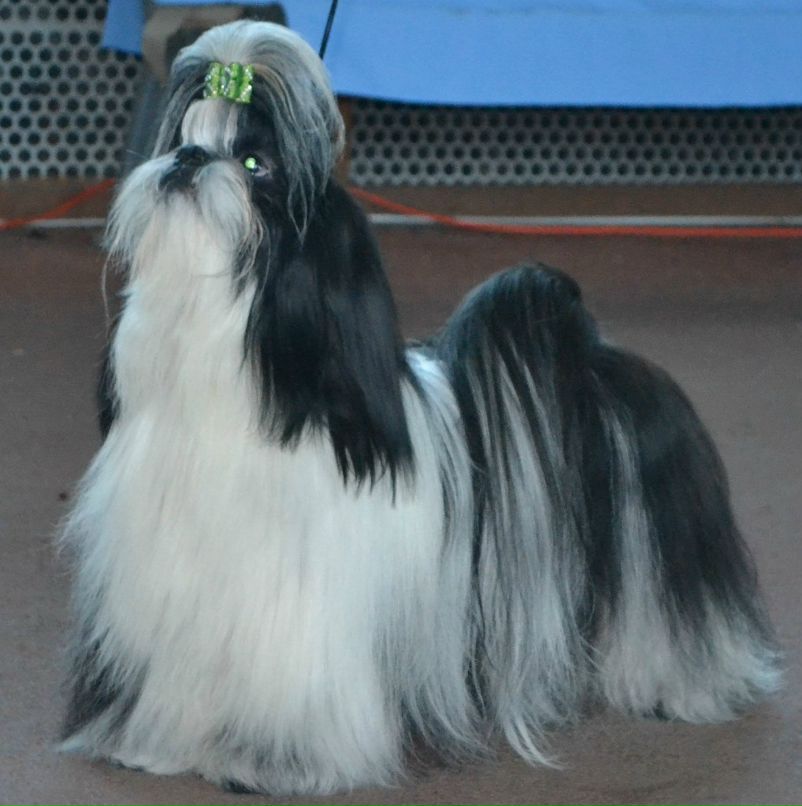 Оля Фартушна | Кривой Рог