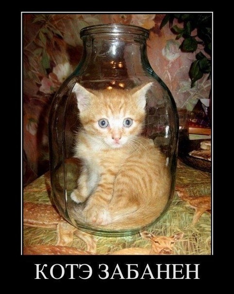 №34, Андрей Другомилов, 41 год, Минск №34, Андрей Другомилов, 41 год, Минск