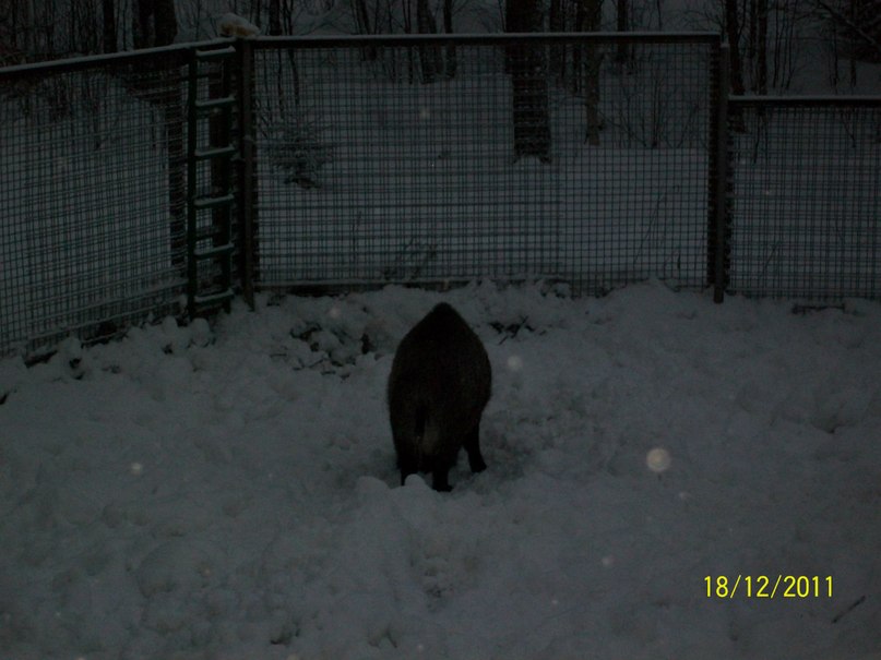 Алина Ескина *без подруги не как* | Костомукша