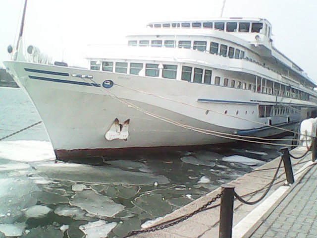 Маринка Никогосова | Ростов-на-Дону