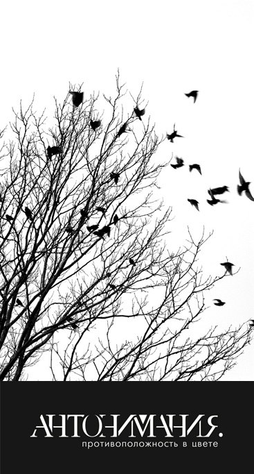 Антоним Мания | Санкт-Петербург